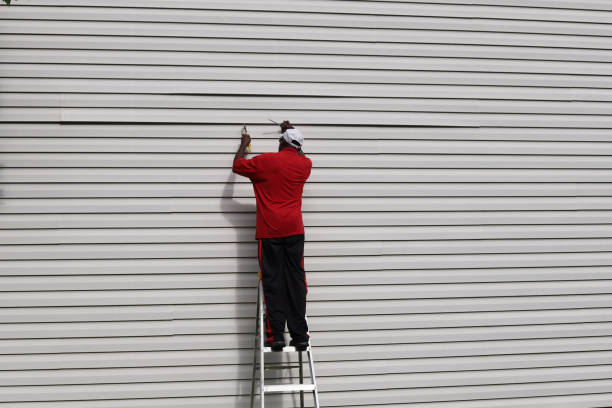 Best Brick Veneer Siding  in Hastings, MI